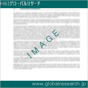 グローバルリサーチ調査レポートのイメージ